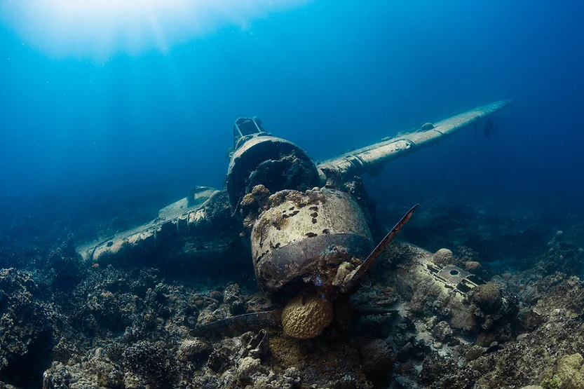 Discover the Top 9 Diving Spots in Belgium