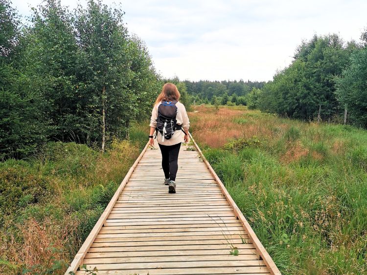 Hiking around La Roche en Ardenne in Belgium